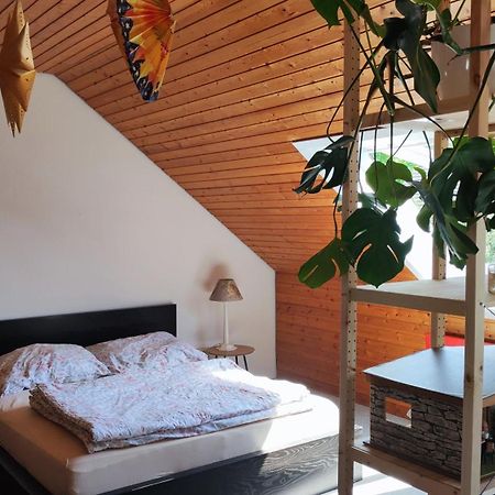 Big Cozy Entire Family Appartment Hanôver Exterior foto